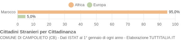 Grafico cittadinanza stranieri - Campolieto 2007