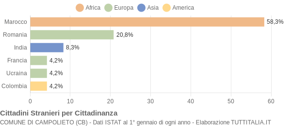 Grafico cittadinanza stranieri - Campolieto 2009