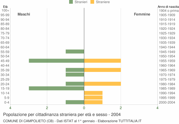 Grafico cittadini stranieri - Campolieto 2004