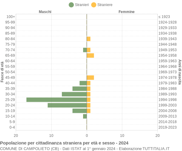 Grafico cittadini stranieri - Campolieto 2024