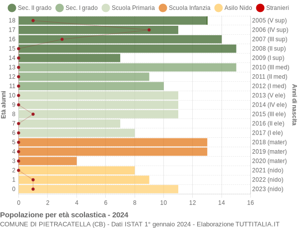 Grafico Popolazione in età scolastica - Pietracatella 2024