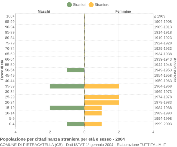 Grafico cittadini stranieri - Pietracatella 2004