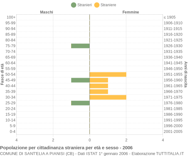 Grafico cittadini stranieri - Sant'Elia a Pianisi 2006