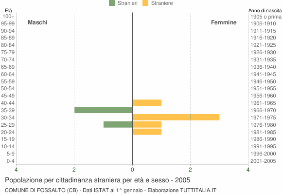 Grafico cittadini stranieri - Fossalto 2005