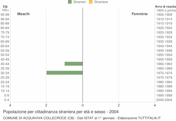 Grafico cittadini stranieri - Acquaviva Collecroce 2004