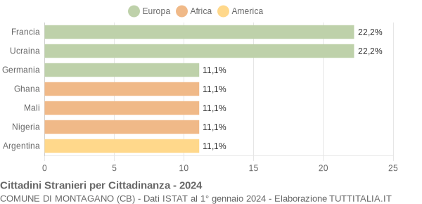 Grafico cittadinanza stranieri - Montagano 2024