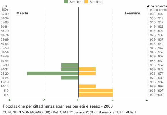 Grafico cittadini stranieri - Montagano 2003
