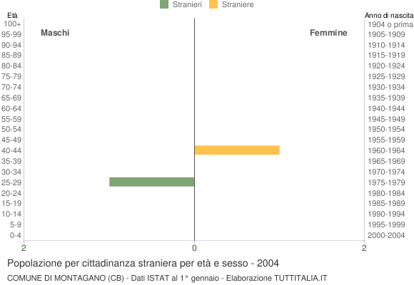 Grafico cittadini stranieri - Montagano 2004