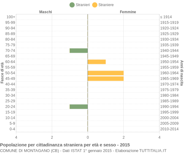 Grafico cittadini stranieri - Montagano 2015