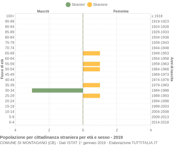 Grafico cittadini stranieri - Montagano 2019