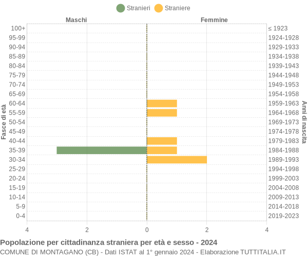 Grafico cittadini stranieri - Montagano 2024