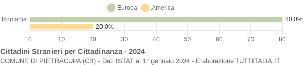 Grafico cittadinanza stranieri - Pietracupa 2024