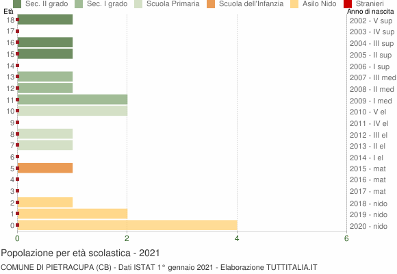 Grafico Popolazione in età scolastica - Pietracupa 2021
