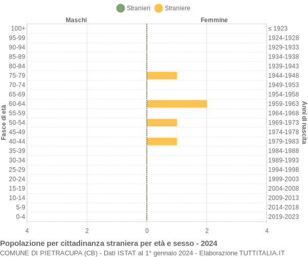 Grafico cittadini stranieri - Pietracupa 2024