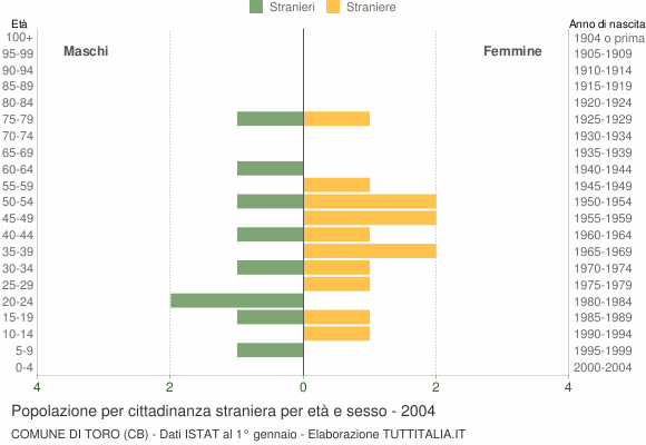 Grafico cittadini stranieri - Toro 2004
