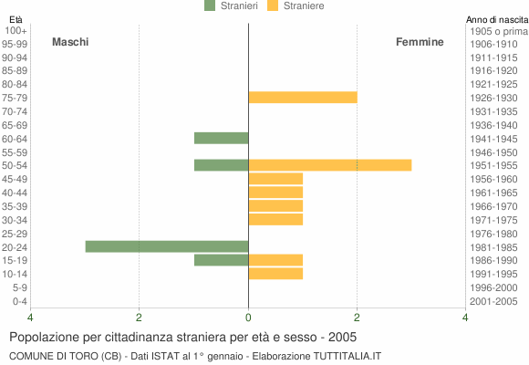 Grafico cittadini stranieri - Toro 2005