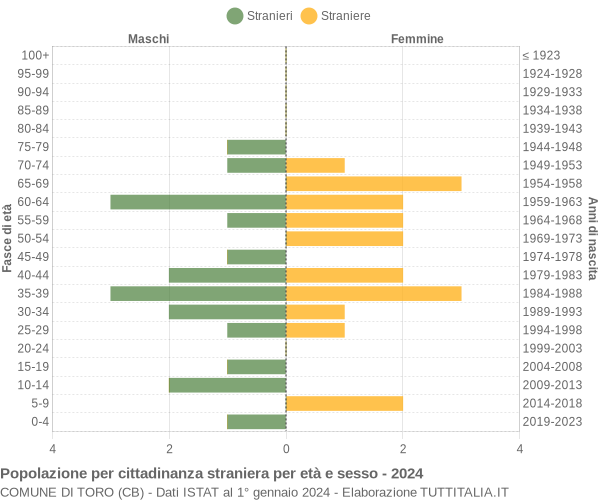 Grafico cittadini stranieri - Toro 2024