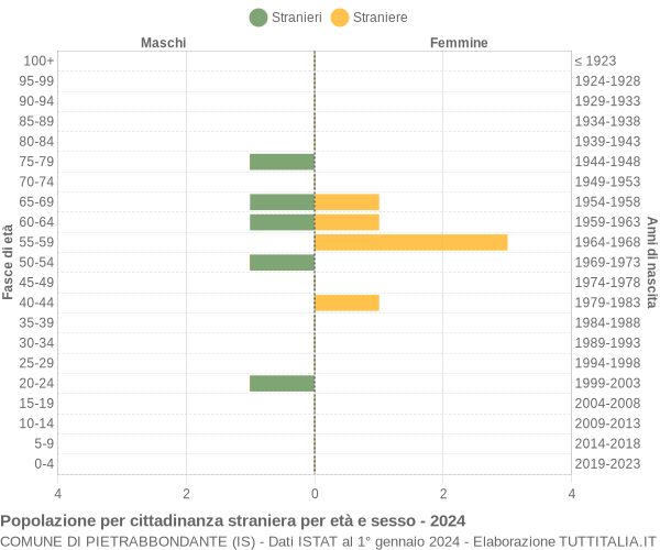 Grafico cittadini stranieri - Pietrabbondante 2024