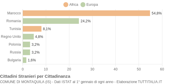 Grafico cittadinanza stranieri - Montaquila 2005