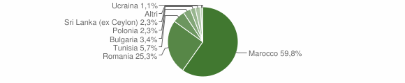 Grafico cittadinanza stranieri - Montaquila 2011