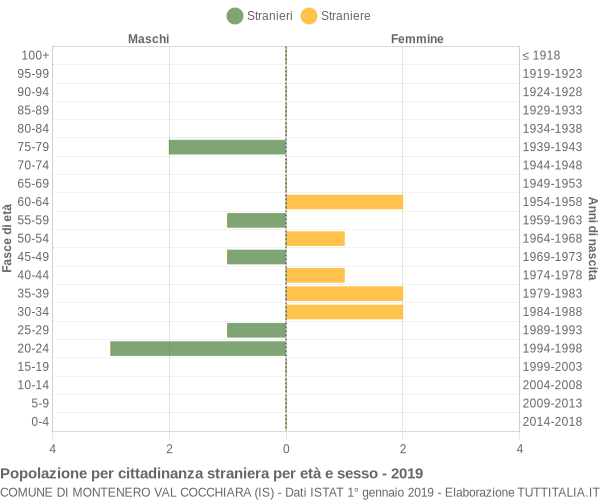 Grafico cittadini stranieri - Montenero Val Cocchiara 2019