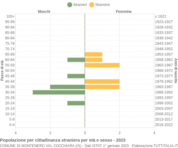 Grafico cittadini stranieri - Montenero Val Cocchiara 2023