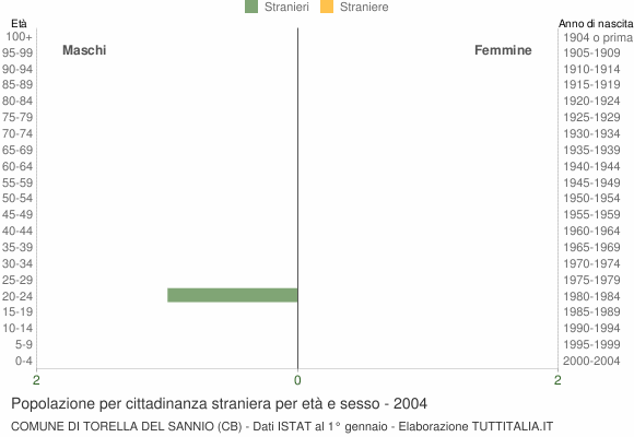 Grafico cittadini stranieri - Torella del Sannio 2004