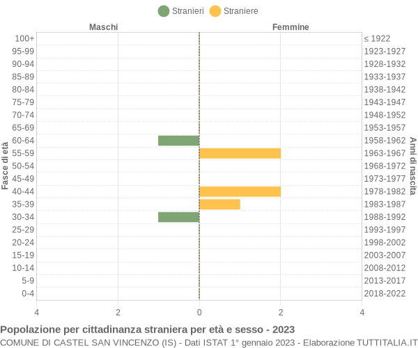 Grafico cittadini stranieri - Castel San Vincenzo 2023