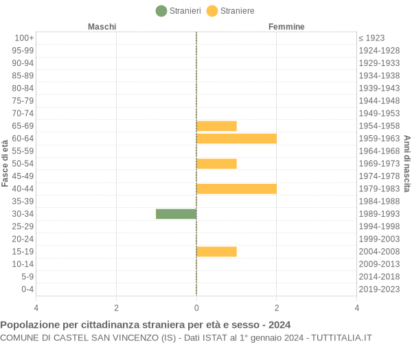 Grafico cittadini stranieri - Castel San Vincenzo 2024