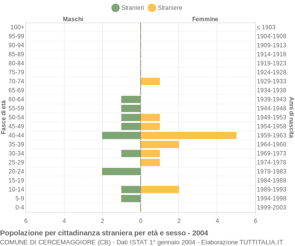 Grafico cittadini stranieri - Cercemaggiore 2004