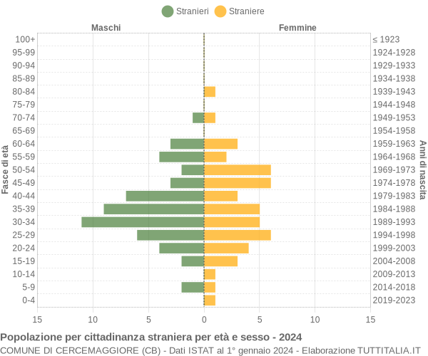 Grafico cittadini stranieri - Cercemaggiore 2024