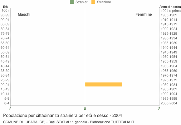 Grafico cittadini stranieri - Lupara 2004