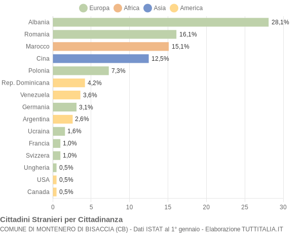 Grafico cittadinanza stranieri - Montenero di Bisaccia 2007