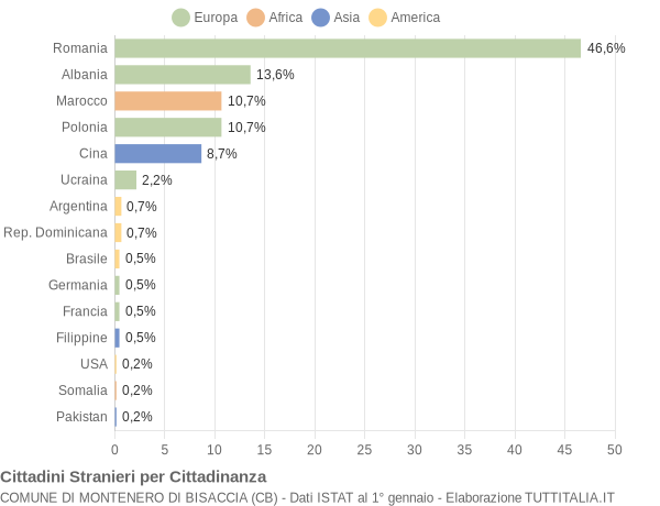 Grafico cittadinanza stranieri - Montenero di Bisaccia 2010