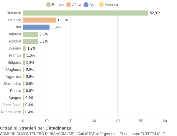 Grafico cittadinanza stranieri - Montenero di Bisaccia 2014