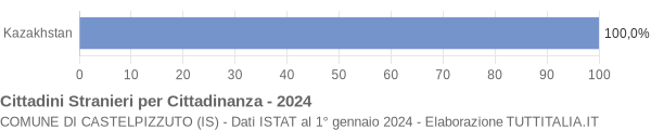 Grafico cittadinanza stranieri - Castelpizzuto 2024