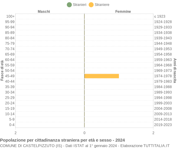 Grafico cittadini stranieri - Castelpizzuto 2024