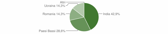 Grafico cittadinanza stranieri - Ripabottoni 2008