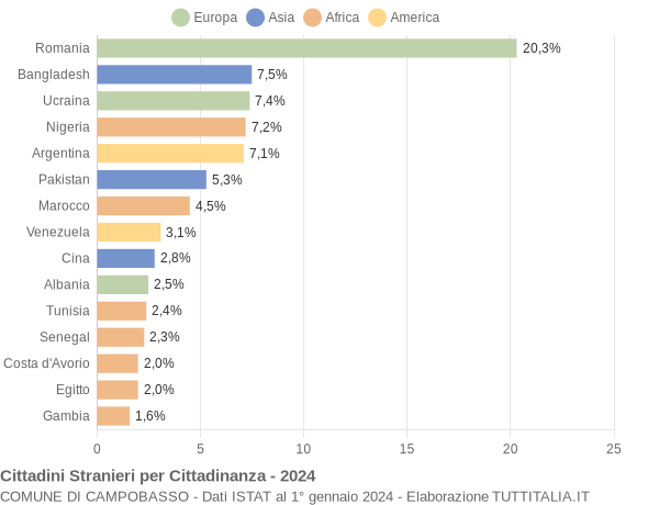 Grafico cittadinanza stranieri - Campobasso 2024