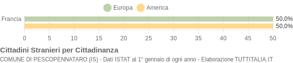 Grafico cittadinanza stranieri - Pescopennataro 2004