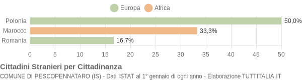 Grafico cittadinanza stranieri - Pescopennataro 2009