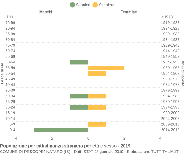 Grafico cittadini stranieri - Pescopennataro 2019