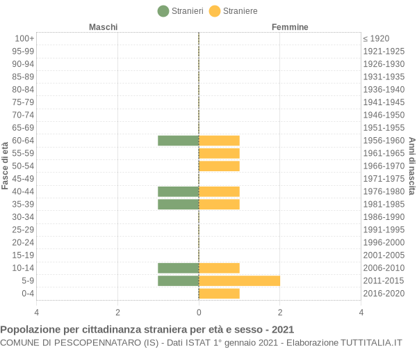 Grafico cittadini stranieri - Pescopennataro 2021