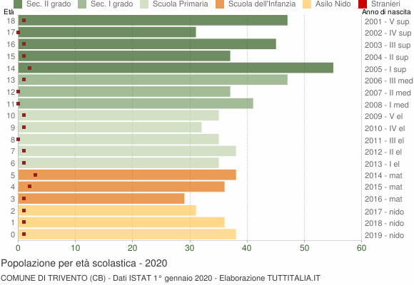 Grafico Popolazione in età scolastica - Trivento 2020