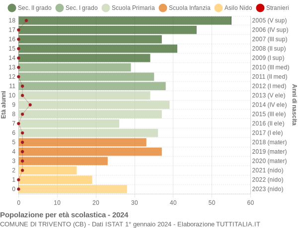 Grafico Popolazione in età scolastica - Trivento 2024