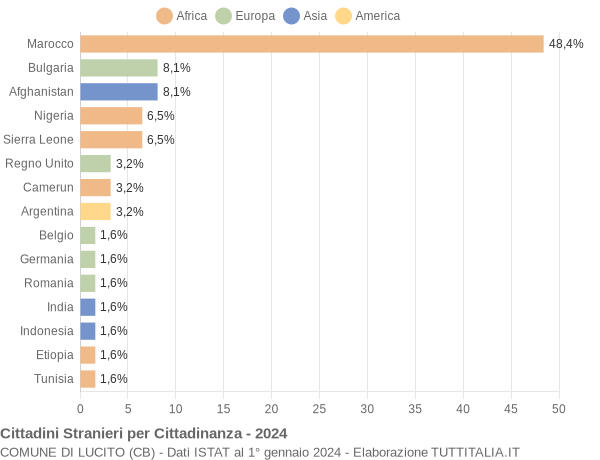 Grafico cittadinanza stranieri - Lucito 2024