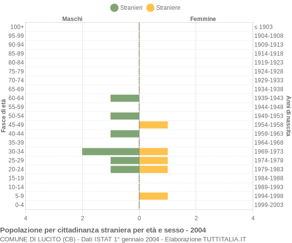 Grafico cittadini stranieri - Lucito 2004