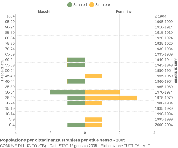 Grafico cittadini stranieri - Lucito 2005