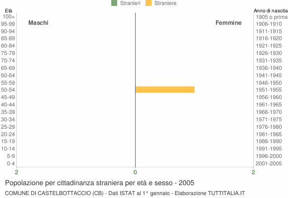 Grafico cittadini stranieri - Castelbottaccio 2005