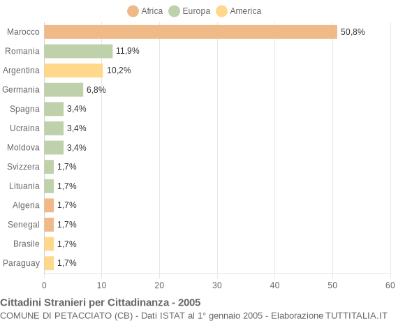 Grafico cittadinanza stranieri - Petacciato 2005